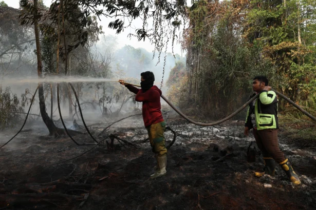 Petugas pemadam kebakaran Mitra Bhakti menyemprotkan air ke lahan gambut yang terbakar di Kabupaten Kubu Raya, Kalimantan Barat, Minggu