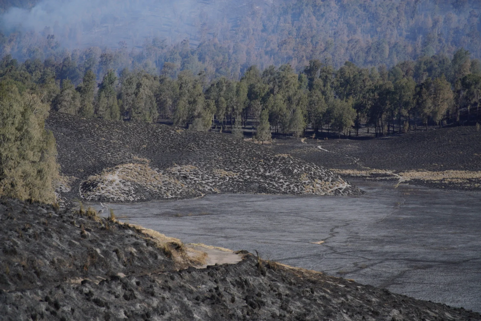 Petugas gabungan memadamkan kebakaran hutan di kawasan pendakian Gunung Semeru, Lumajang, Jawa Timur, Senin (31/8/2026).