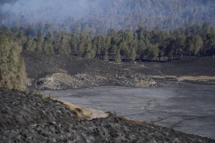 Petugas gabungan memadamkan kebakaran hutan di kawasan pendakian Gunung Semeru, Lumajang, Jawa Timur, Senin (31/8/2026).