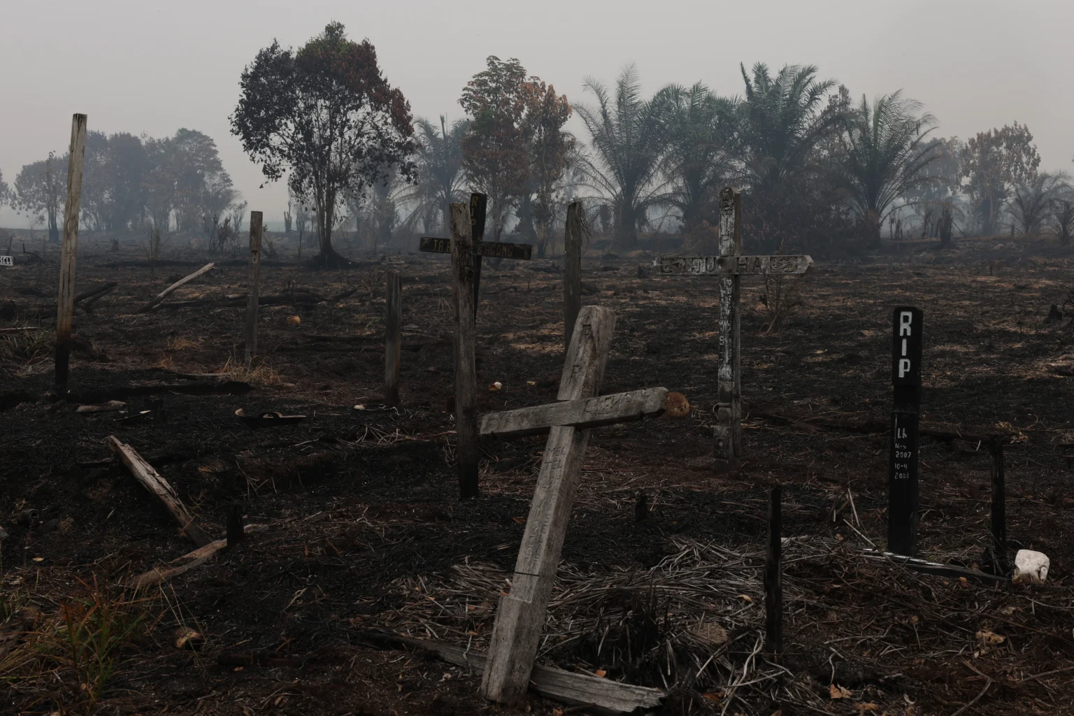 Suasana pascakebakaran hutan dan lahan di Pemakaman Katolik Dusun Lintang Batang, Desa Teluk Bakung, Kabupaten Kubu Raya, Kalimantan Barat, Rabu (2/9/2026).