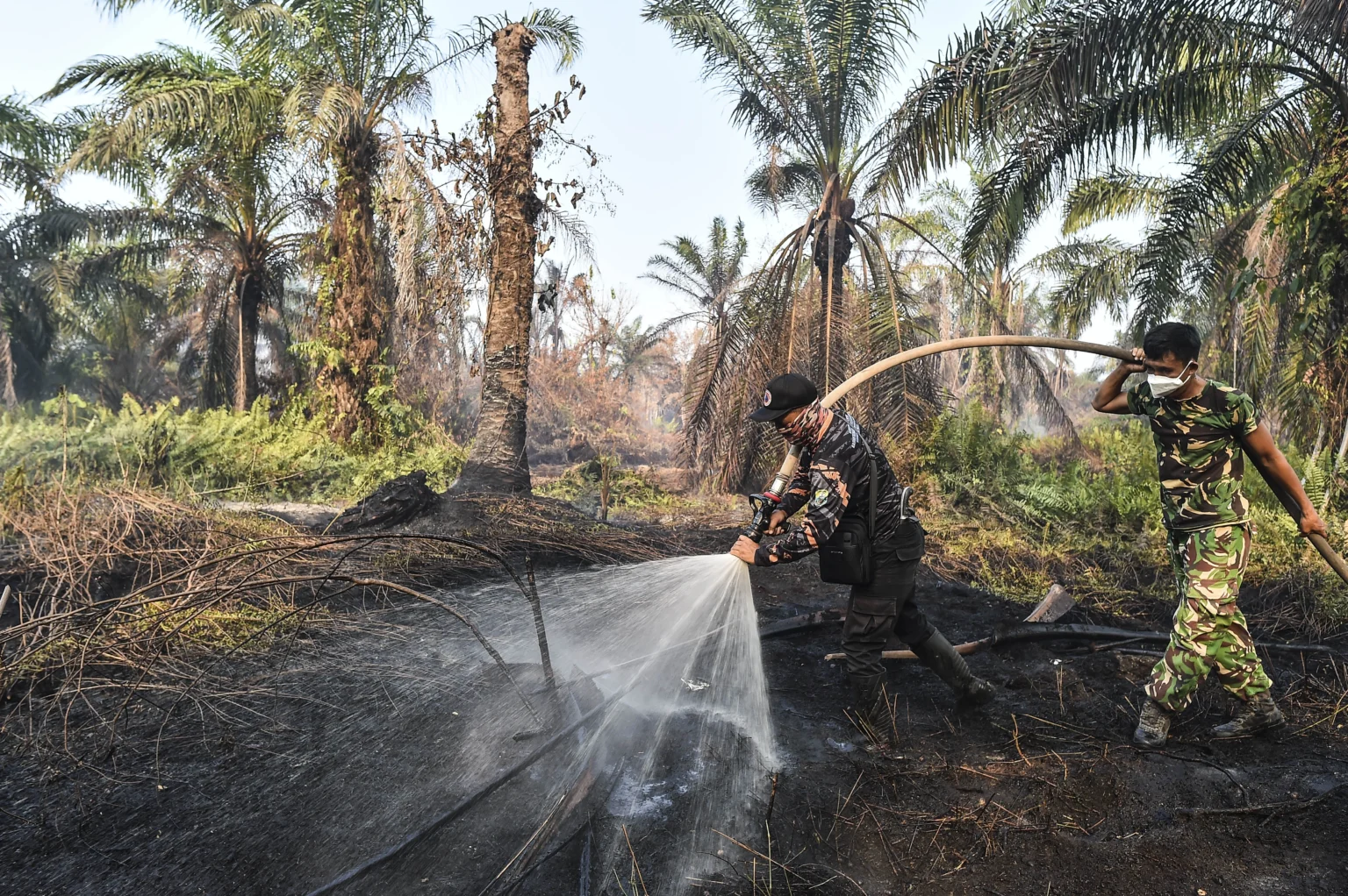 Personel BPBD Kabupaten Muaro Jambi dan prajurit TNI melakukan pendinginan di lahan gambut yang terbakar di Sungai Gelam, Muaro Jambi, Jambi, Kamis (3/9/2026).
