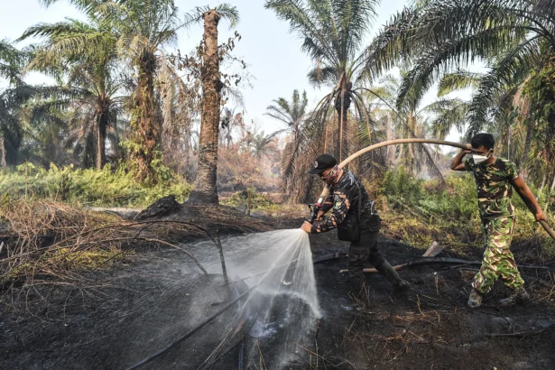Personel BPBD Kabupaten Muaro Jambi dan prajurit TNI melakukan pendinginan di lahan gambut yang terbakar di Sungai Gelam, Muaro Jambi, Jambi, Kamis (3/9/2026).