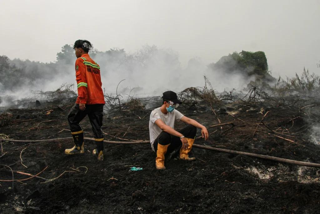Petugas beristirahat sejenak saat pemadaman kebakaran lahan gambut di Kecamatan Pahandut, Palangka Raya, Kalimantan Tengah, Rabu (2/9/2026).