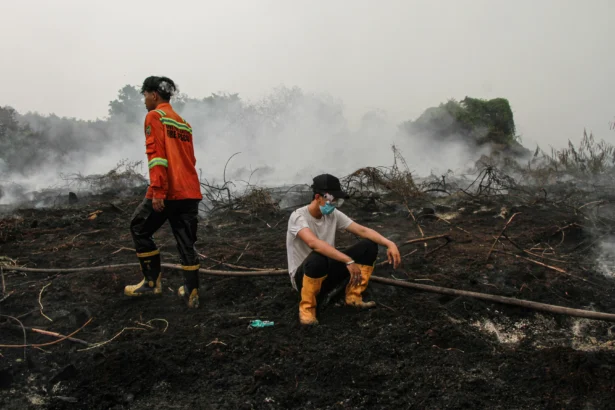 Petugas beristirahat sejenak saat pemadaman kebakaran lahan gambut di Kecamatan Pahandut, Palangka Raya, Kalimantan Tengah, Rabu (2/9/2026).