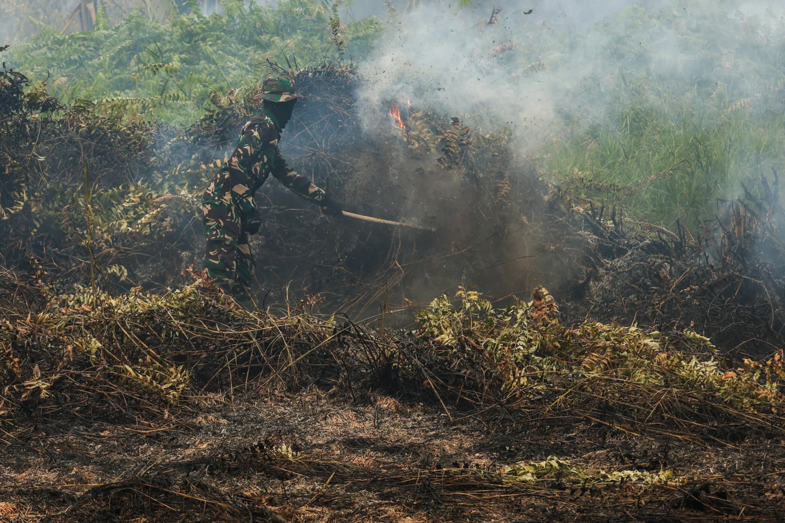 Personel Yon TP 882/Hulubalang memukul api yang membakar semak-semak menggunakan dahan saat menangani kebakaran lahan gambut di Dusun Lintang Batang, Desa Teluk Bakung, Kecamatan Sungai Ambawang, Kabupaten Kubu Raya, Kalimantan Barat, Senin (31/8/2026).