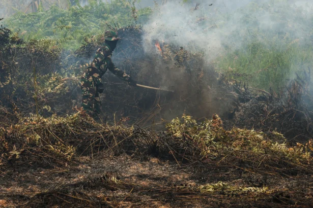 Personel Yon TP 882/Hulubalang memukul api yang membakar semak-semak menggunakan dahan saat menangani kebakaran lahan gambut di Dusun Lintang Batang, Desa Teluk Bakung, Kecamatan Sungai Ambawang, Kabupaten Kubu Raya, Kalimantan Barat, Senin (31/8/2026).