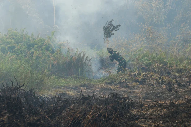 Personel Yon TP 882/Hulubalang memukul sumber api yang membakar semak-semak menggunakan dahan saat menangani kebakaran lahan gambut di Dusun Lintang Batang, Desa Teluk Bakung, Kecamatan Sungai Ambawang, Kabupaten Kubu Raya, Kalimantan Barat, Senin (31/8/2026).