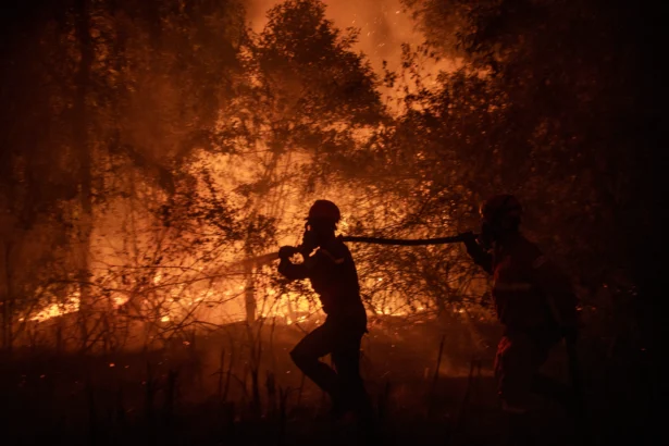 Personel Manggala Agni Daops Sumatera XIV-Banyuasin berusaha memadamkan kebakaran lahan di Desa Simpang Pelabuhan Dalam, Kecamatan Pemulutan, Kabupaten Ogan Ilir (OI), Sumatera Selatan, Kamis (3/9/2026).