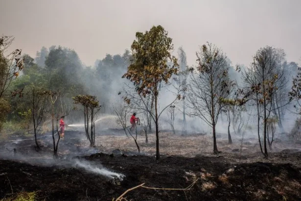 Personel Manggala Agni berupaya memadamkan kebakaran hutan dan lahan (karhutla). ANTARA FOTO/Bayu Pratama S
